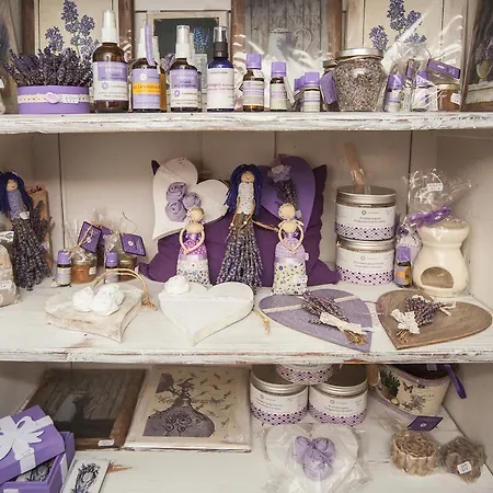 Apartment Levendula Apartmanhaz Sárvár